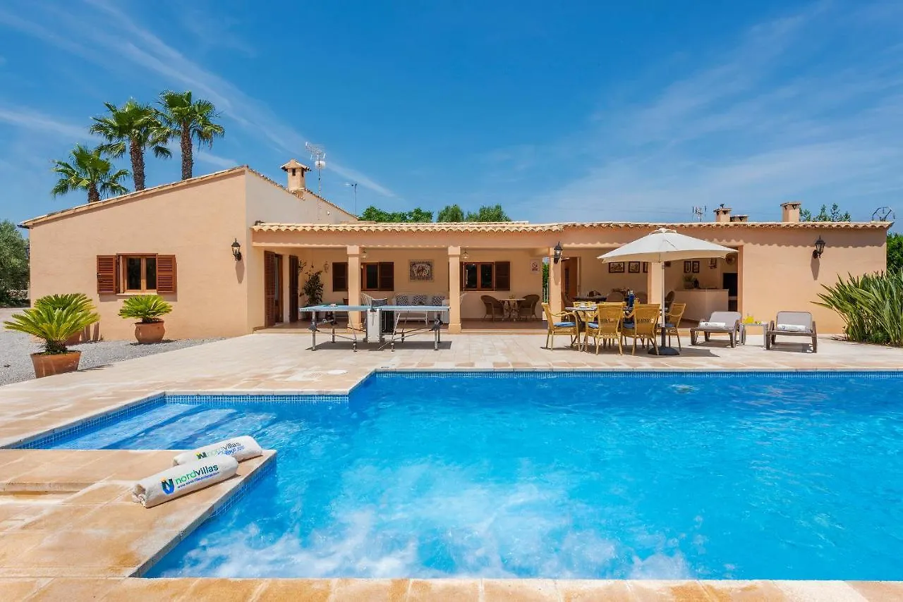 Aina Francisca Villa Alcudia